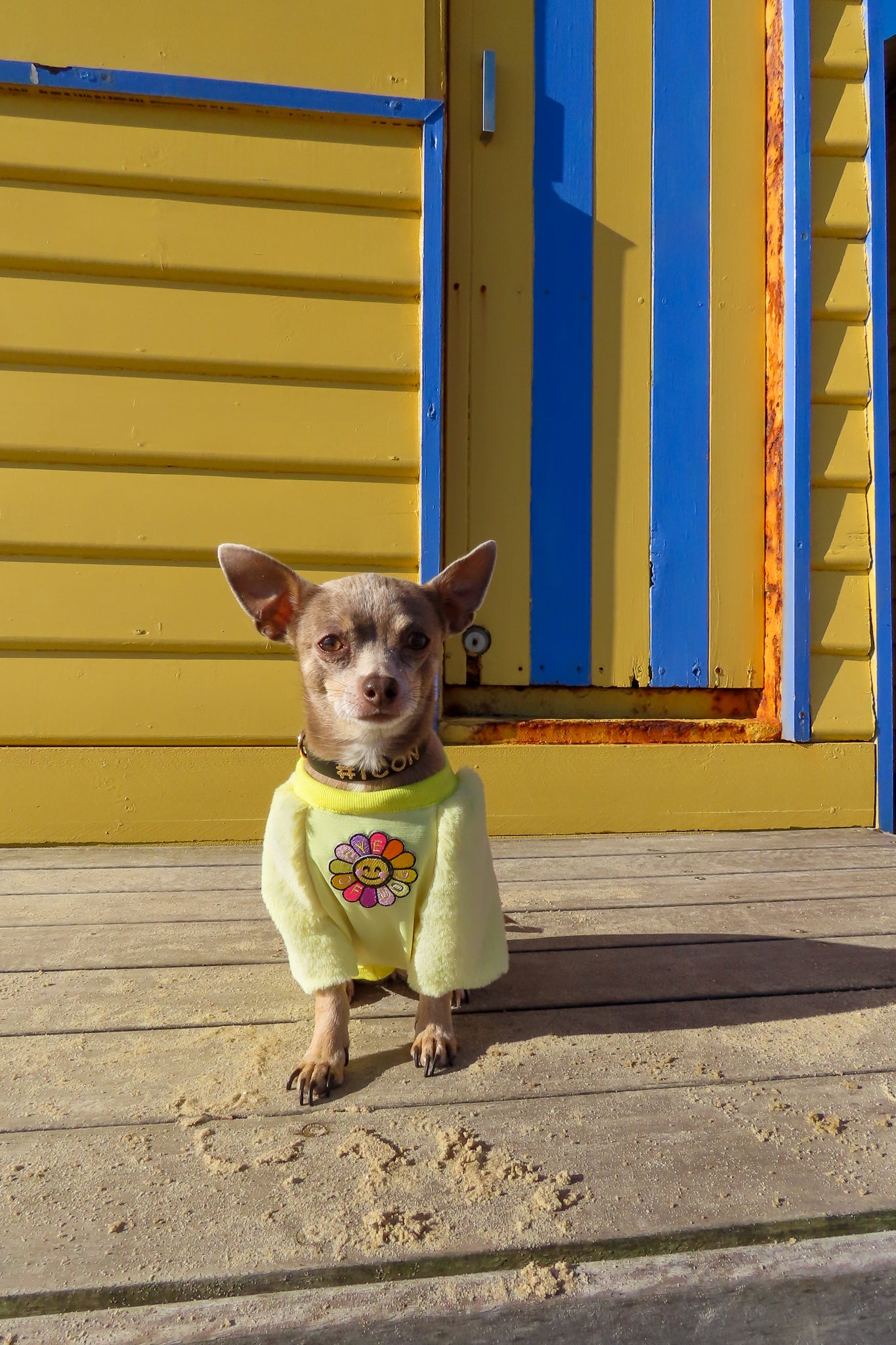 SunShine Faux Fur- XS, MED & LRG left - Not restocking.