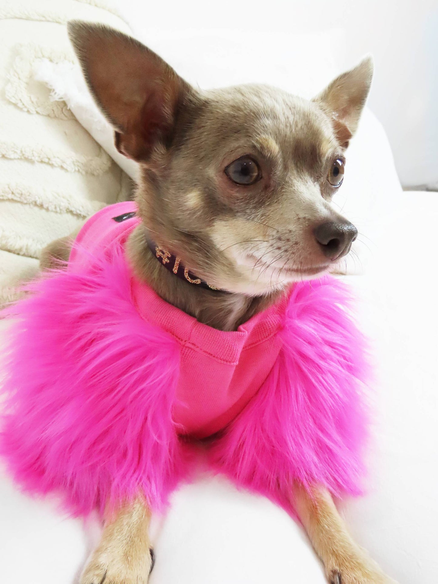 Candy Faux Fur Dog top - Short neck - XXXS + XXXXS left