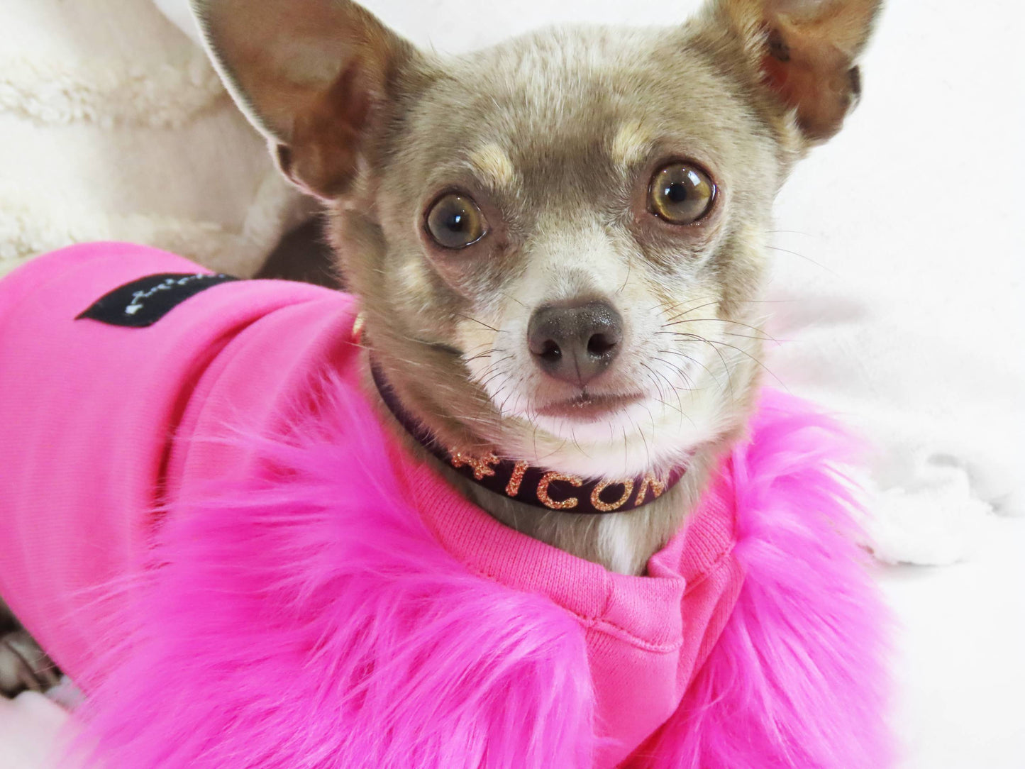 Candy Faux Fur Dog top - Short neck - XXXS + XXXXS left