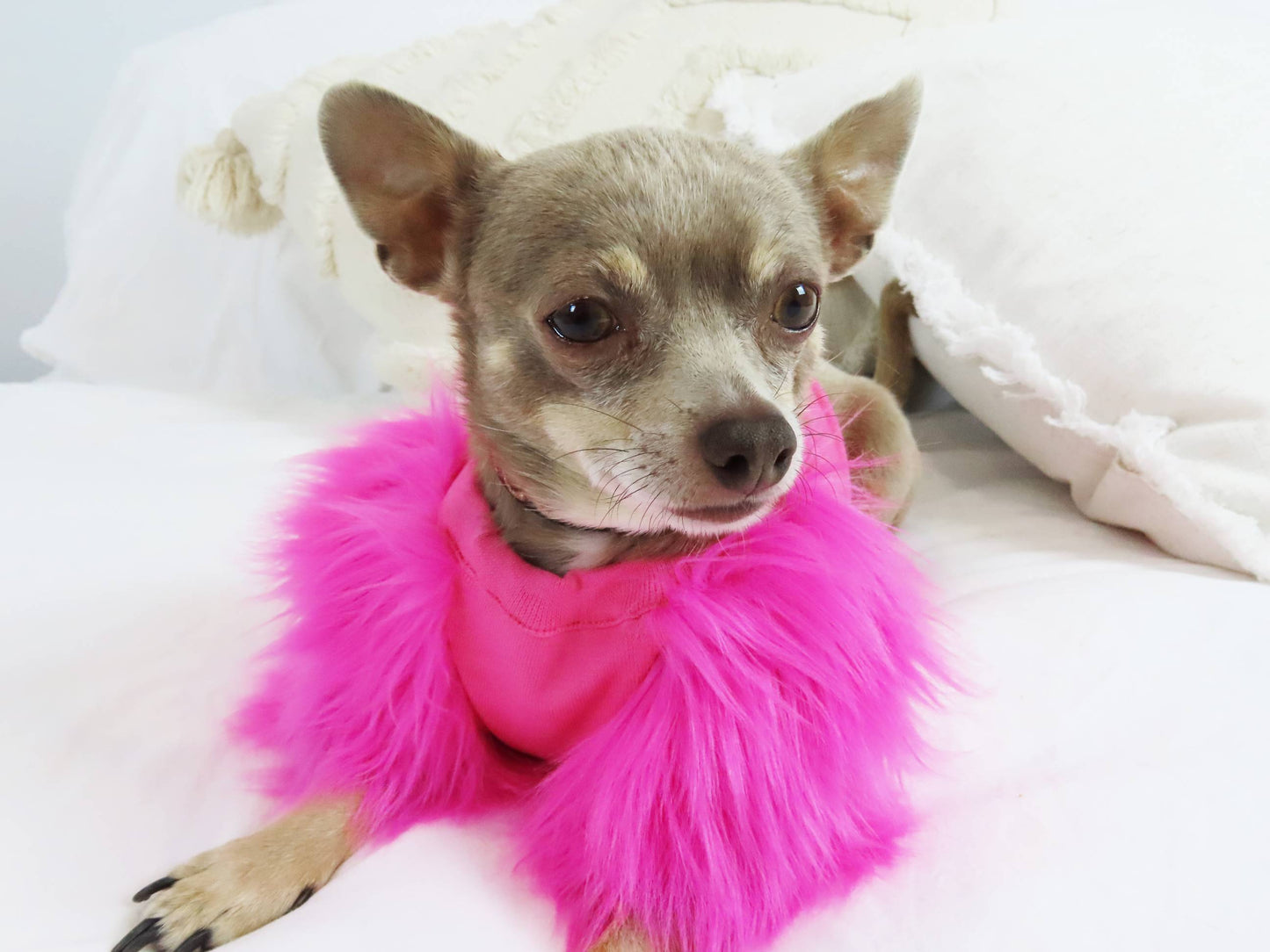 Candy Faux Fur Dog top - Short neck - XXXS + XXXXS left