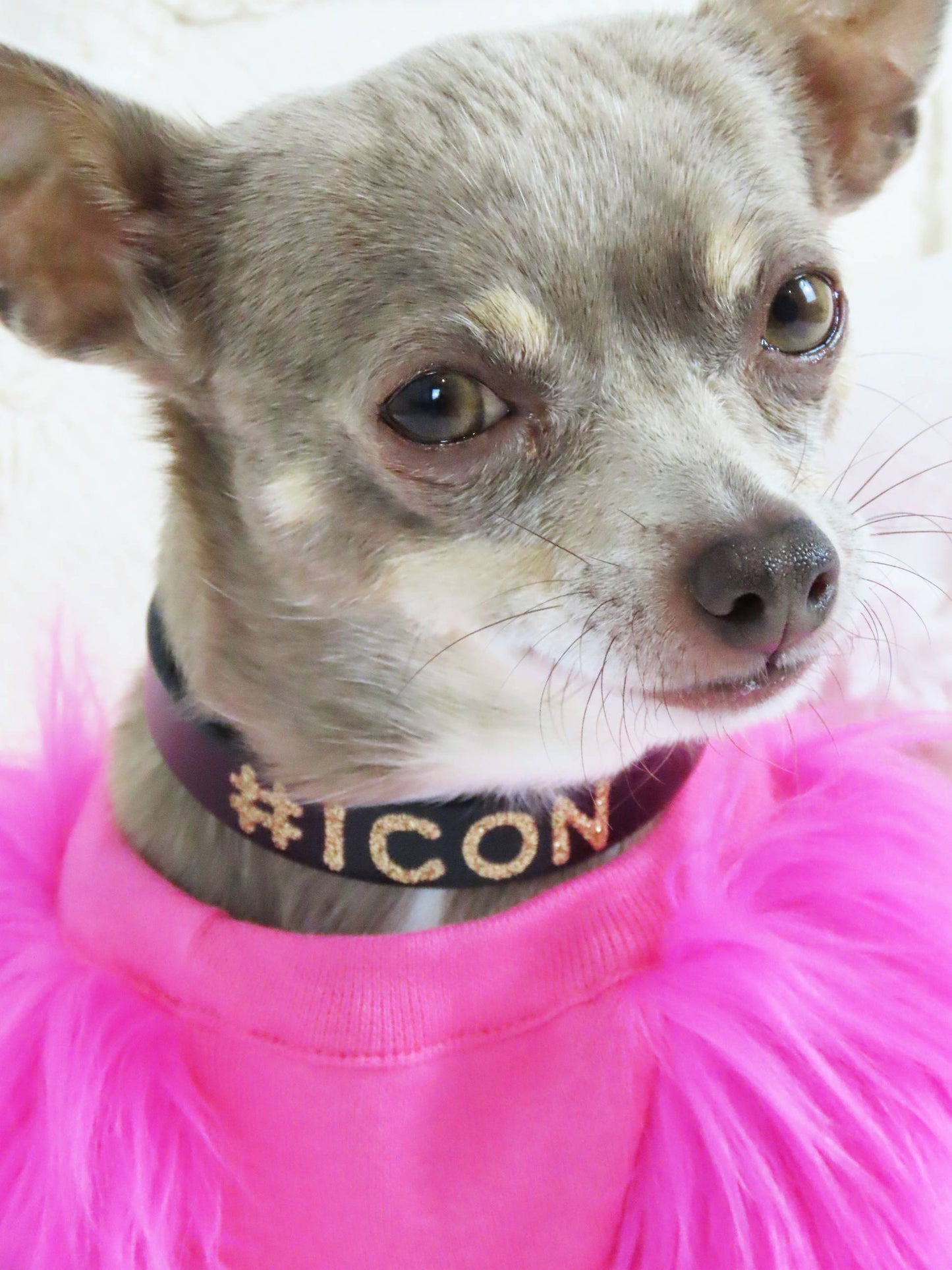 Candy Faux Fur Dog top - Short neck - XXXS + XXXXS left