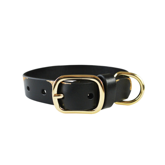 Dripping in Gold Dog Collar - with or without Spikes