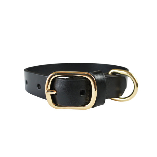 Classic Black Collar - With or without Spikes