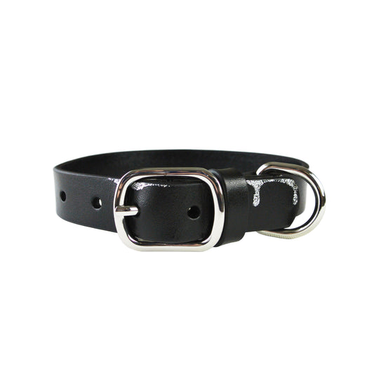 Black Ice Dog Collar- with or without Spikes