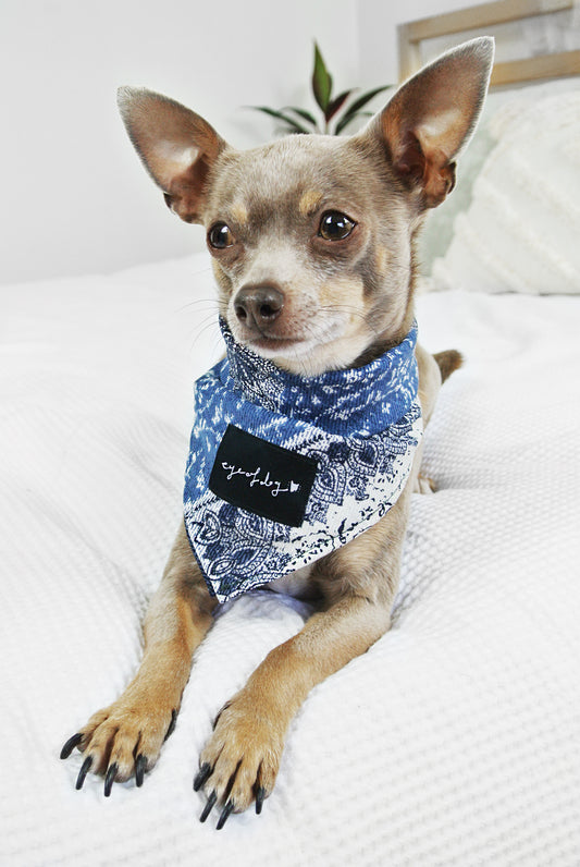 Patchwork Denim Dog Bandana