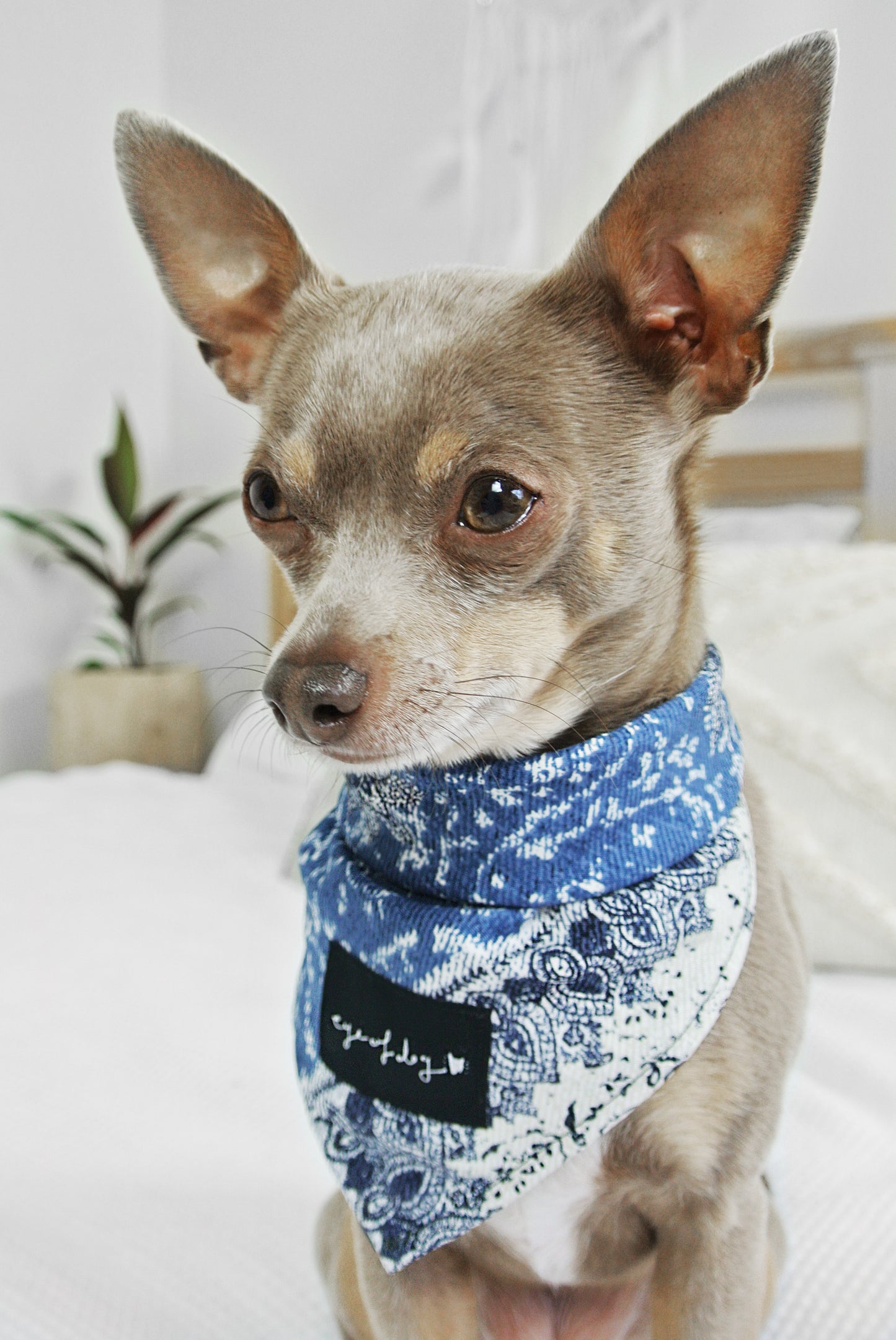 Patchwork Denim Dog Bandana