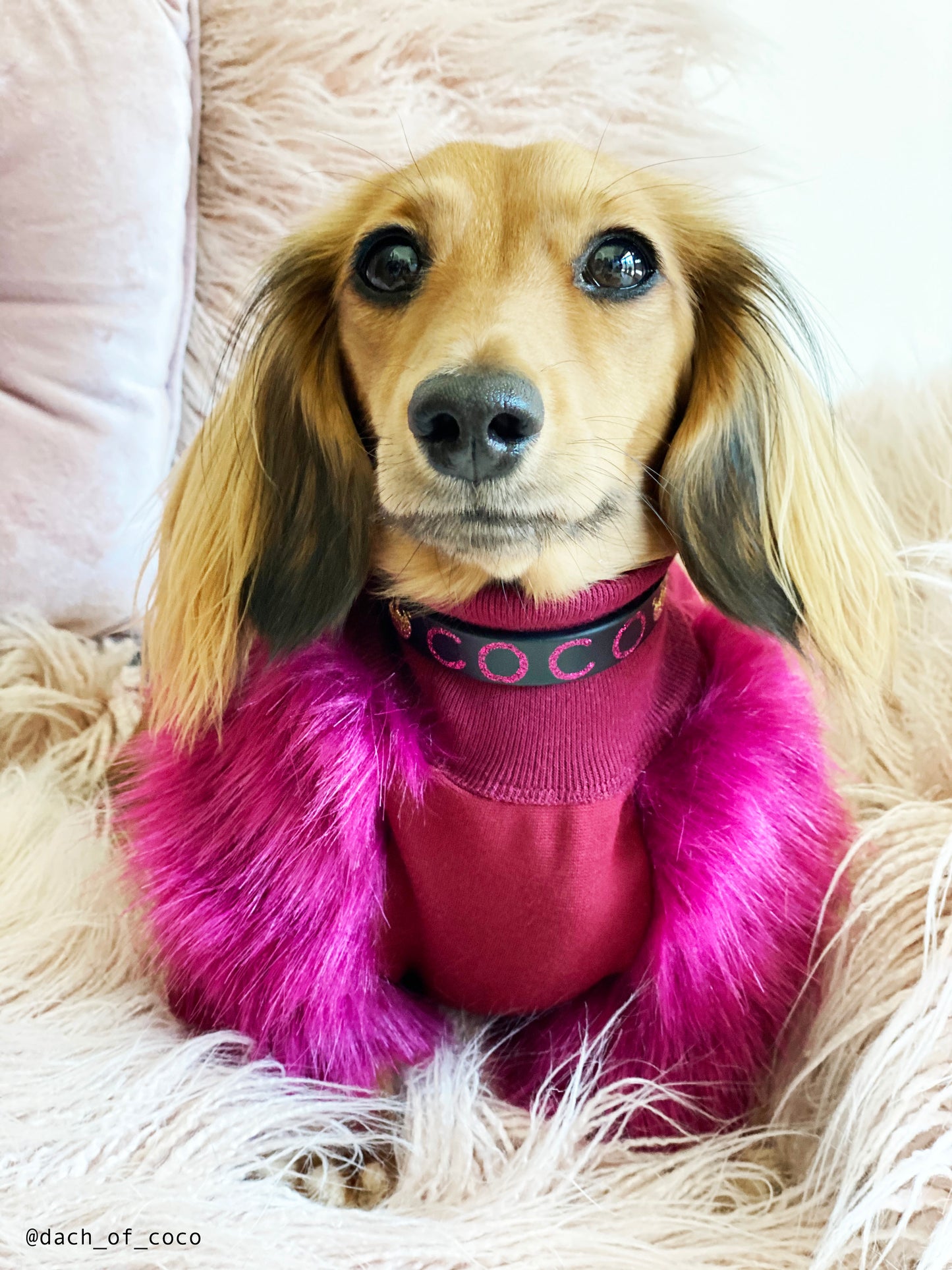 CUSTOM Glitter Collar - Name / Emoji - Add spikes option.