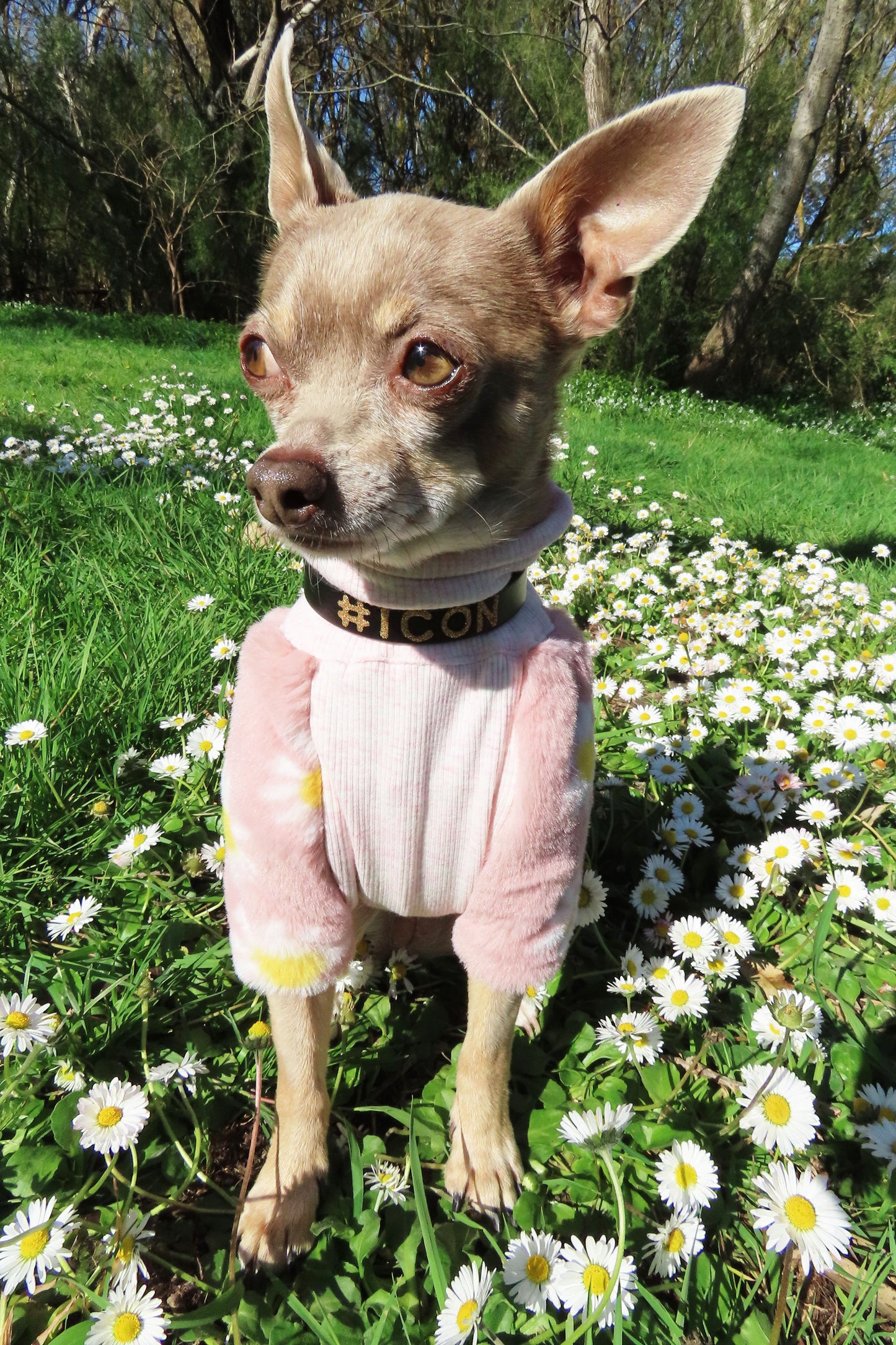 Sweetie Faux Fur Dog top.