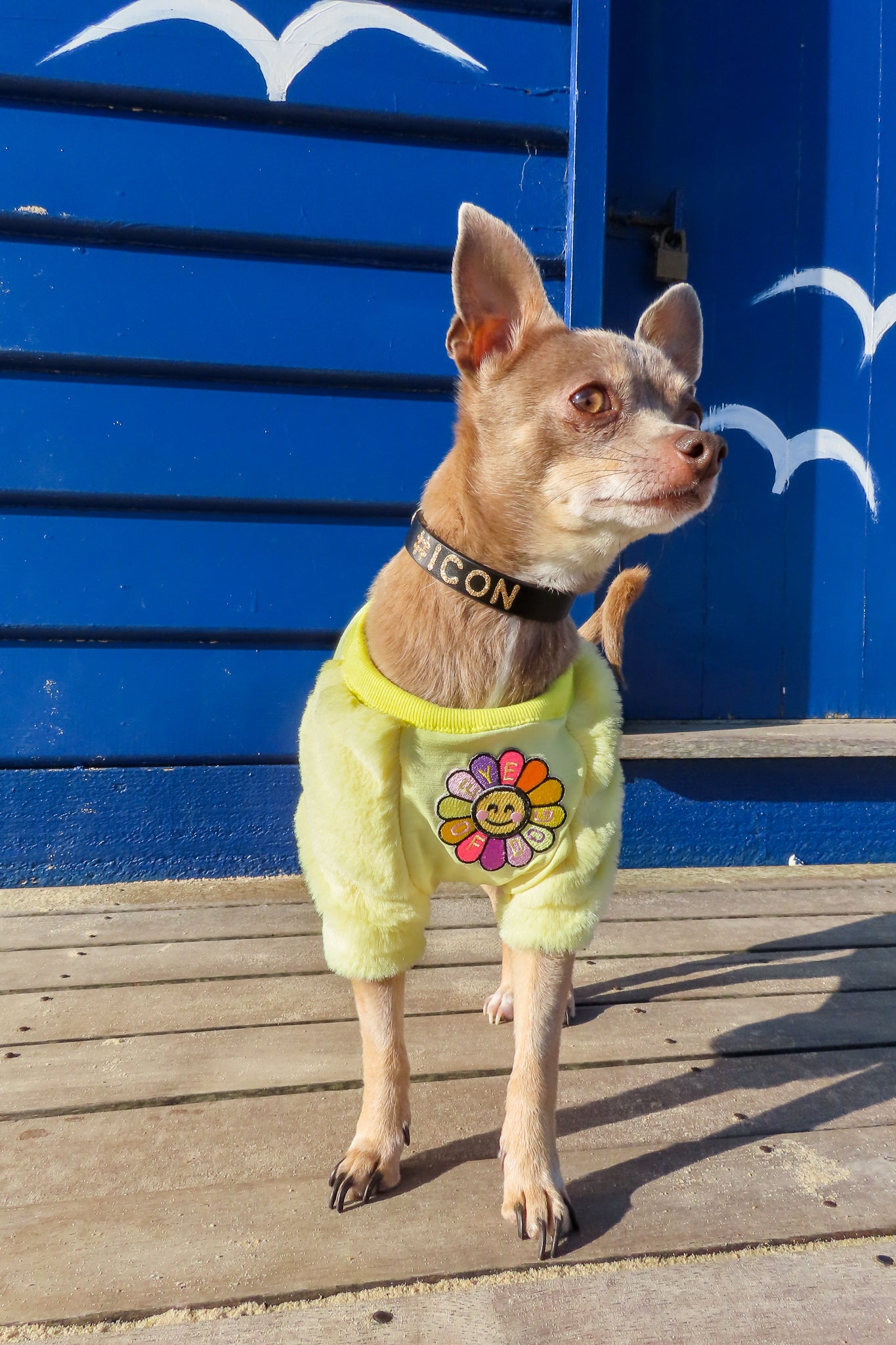 SunShine Faux Fur- XS, MED & LRG left - Not restocking.